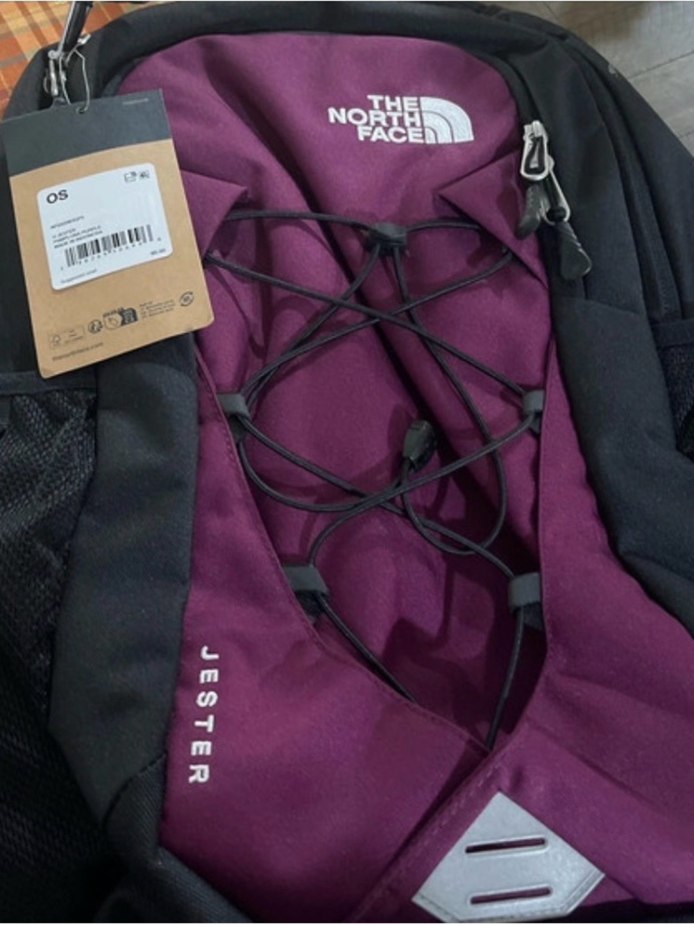 The North Face Jester Backpack in Pamplona Purple and Black